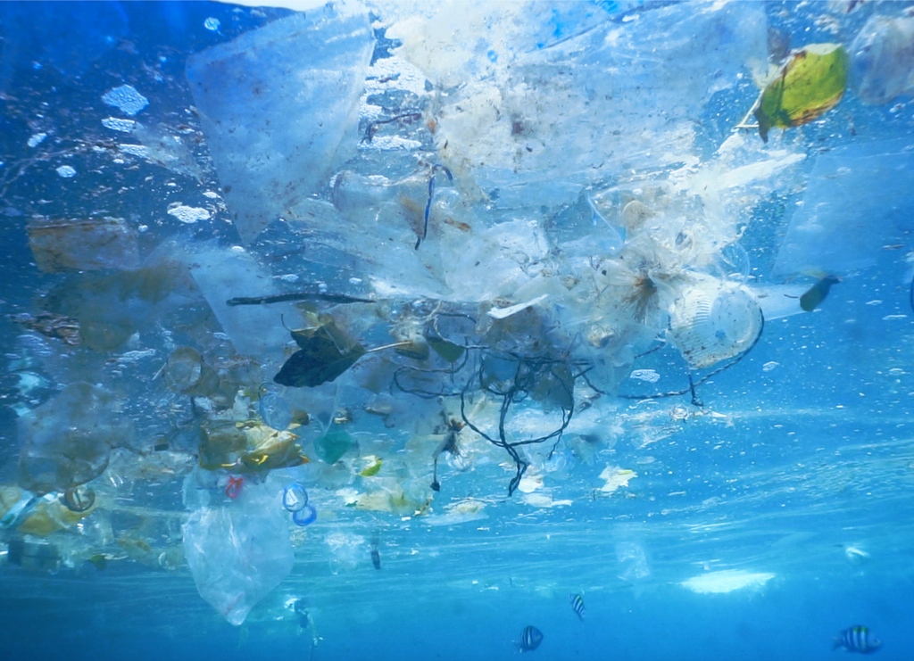 Our Broken Planet
